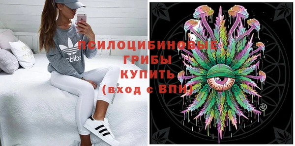 дмт Богородск