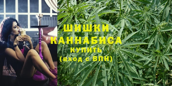 apvp Богданович