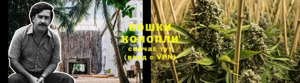 дмт Богородск